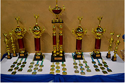 Imagem do CAMPEONATO BRASILEIRO