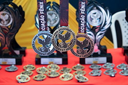 Imagem da 2ª COPA DA ASSOCIAÇÃO DE KARATÊ FÊNIX - KATA